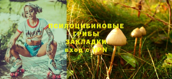 спиды Алексин