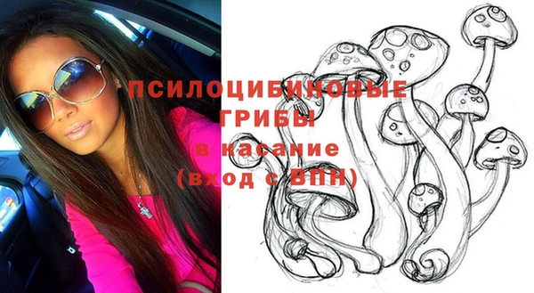спиды Алексин